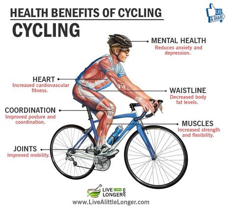 Save Cycling Training Plan, Benefits Of Cycling, Cycling Benefits, Bike Riding Benefits, Types Of Cardio, Cycle Training, Cycling Quotes, Low Intensity Workout, Cycling Race