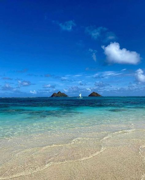 Kailua Beach Adventures’s Instagram profile post: “Beach Cleanup this Saturday! Stop by from 9-11am at Kalama Beach Park! @proteazerowaste is organizing this with our help. Stop by our shop…” Beach Cleanup, Kailua Beach, Beach Adventure, Beach Park, Us Beaches, Beach Town, Oahu, Hawaii, Instagram Profile