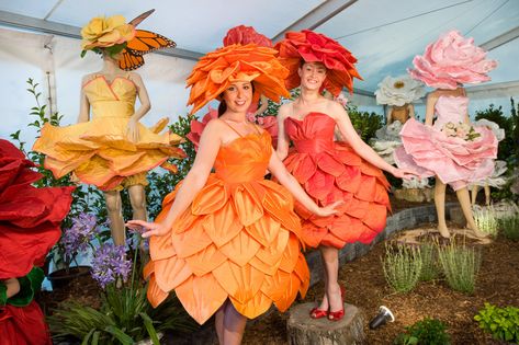 Flower Costume Diy, Sunflower Costume, Nature Costume, Fairy Collection, Alice In Wonderland Flowers, Diy Wings, Flower Costume, Wonderland Costumes, Diy Kostüm