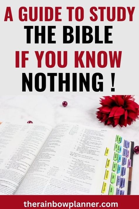 Bible Study 101, Easy Bible Study For Beginners, Bible Study Guide For Beginners Notes, Bible Study Guide For Beginners Women, Learning The Bible For Beginners, Adult Bible Study Lessons, How To Read The Bible For Beginners, How To Study The Bible For Beginners, Bible Study Notes For Beginners