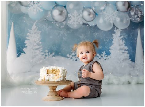 Baby Kendra's Winter Wonderland Cake Smash Winter Onederland Cake, Winter Wonderland Cake, Cake Photoshoot, Winter Onederland Party, Onederland Birthday Party, Winter Wonderland Birthday, Winter Onederland Birthday, Cake Smash Backdrop, Winter Wonderland Theme