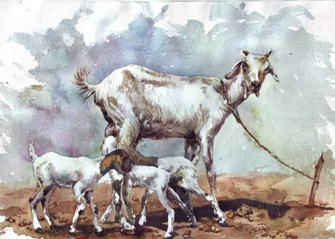 Indian Goat, Conceptual Sketches, Animals Painting, Cambodian Art, Architecture Drawing Sketchbooks, Watercolor Paintings Nature, Butterfly Art Painting, Boho Art Drawings, Indian Art Gallery