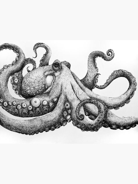 Octopus Art Drawing, Octopus Sketch, Octopus Images, Octopus Artwork, Kraken Art, Octopus Drawing, Octopus Painting, Octopus Tattoo Design, Octopus Tattoos