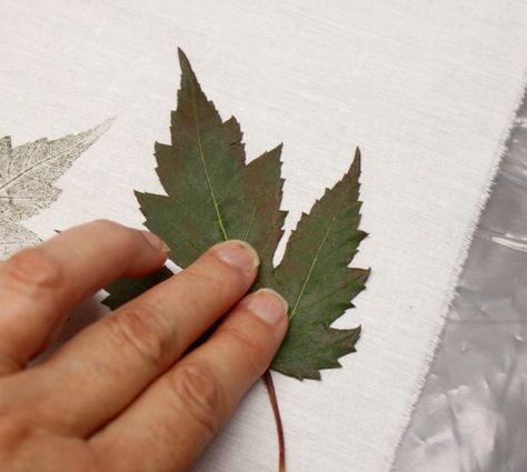 How To: Printing With Leaves - Lynda Heines Fabric Design Diy T Shirt Printing, Decorated Tote Bags, Leaf Print Art, Leave Art, Diy Leaves, Pressed Flower Crafts, Texture Painting On Canvas, Leaf Crafts, Eco Printing