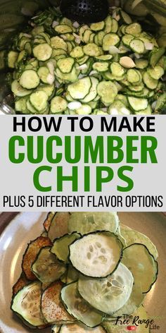 Dehydrating cucumbers into crunchy cucumber chips is a great way to preserve cucumbers from your garden. You can make BBQ chips, ranch chips, other flavors of your choice. All you need is a dehydrator! Dehydrate Cucumber Chips, Dehydrating Cucumbers Cucumber Chips, Dehydrated Cucumber Chips Recipes, Things You Can Dehydrate, Air Fried Cucumber Chips, Freeze Dried Cucumber Chips, Cucumber Chips Dehydrator, Air Fried Cucumbers, Ways To Preserve Cucumbers