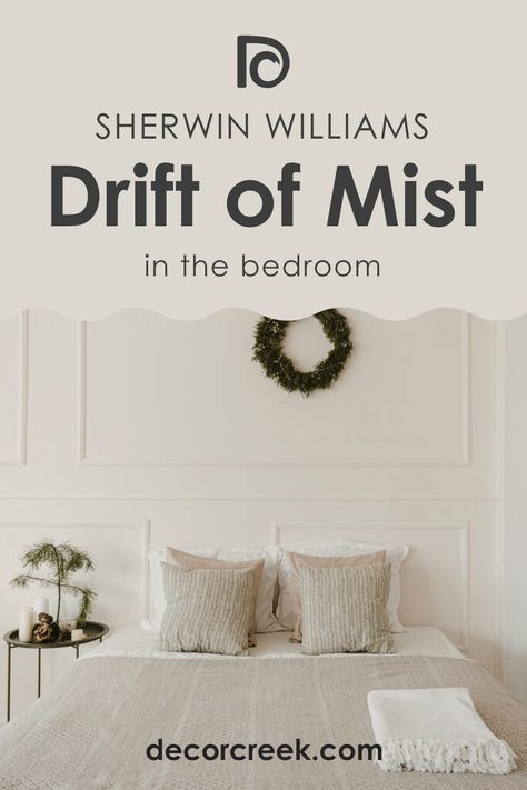 Drift of Mist SW 9166 Paint Color by Sherwin-Williams Sw Minimalist Paint, Sherwin Williams Drift Of Mist Paint, Sw Drift Of Mist Walls, Sw Drift Of Mist, Drift Of Mist Sherwin Williams, Sherwin Williams Drift Of Mist, Drift Of Mist, Best Sherwin Williams Paint, Sw Repose Gray