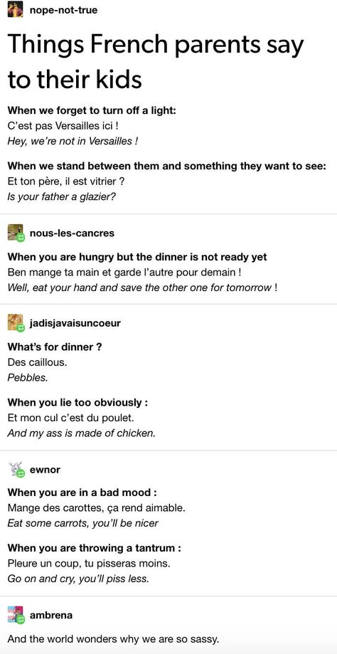 17 Jokes About The French Language That Prove It's As Weird As English Is French Funny Quotes, French Memes Humor, Meme French, French Jokes, France Funny, French Core, French Meme, French Stuff, Learning Languages Tips