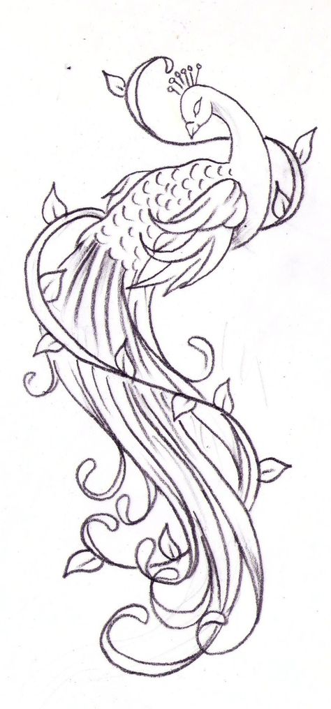 Peacock Sketch, Tattoo Wallpaper, Peacock Drawing, Peacock Tattoo, Art Quilling, Quilled Creations, Body Tattoo, Peacock Art, Beautiful Body