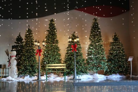 6 Tips for Welcoming New Attenders this Christmas Christmas Stage Decorations, Decor Noel, Christmas Stage Design, Christmas Decor Diy Cheap, Church Christmas Party, Church Foyer, Ward Christmas Party, Church Christmas Decorations, Christmas Stage