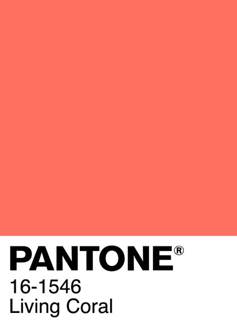 Coral Pantone, Palettes Color, Colour Swatches, Fish Home, Live Coral, Living Coral, Color Analysis, Color Inspo, Colour Board