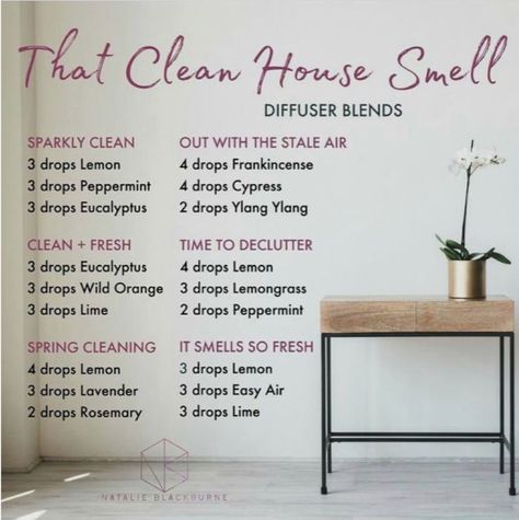 That Clean House Smell Clean House Smell, Nyttige Tips, Essential Oil Diffuser Blends Recipes, Essential Oil Diffuser Recipes, Oil Diffuser Recipes, Essential Oil Blends Recipes, Essential Oil Mixes, Living Essentials Oils, Diffuser Recipes