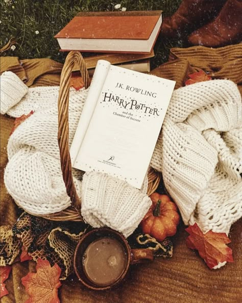 Fall Harry Potter Aesthetic, Harry Potter Autumn Aesthetic, Fall Aesthetic Books, Fall Bookstagram, Fall Harry Potter, Harry Potter Fall Aesthetic, Harry Potter Autumn, Halloween Vibes Aesthetic, Downtown Autumn