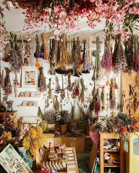 Herbal Shop, Apothecary Decor, Herb Shop, Magia Das Ervas, Herbal Apothecary, Herbal Magic, Witch Aesthetic, Practical Magic, Green Witch