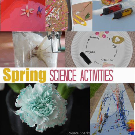 20 Spring Activities for Kids – Science – Science Sparks Spring Science Experiments, Spring Science Activities, Science Activities For Toddlers, Elementary Science Experiments, Science Experiments Kids Preschool, Spring Stem, Science Experiments Kids Elementary, Science Art Projects, Spring Science