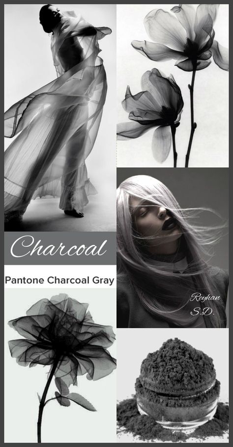 '' Charcoal Grey - Pantone'' by Reyhan S.D. Color Palettes For Home, Grey Pantone, Home Color Ideas, Mood Boards Color, Blending Pencil, Graphic Design Color, Home Color Palette, Palettes Color, Living Colors