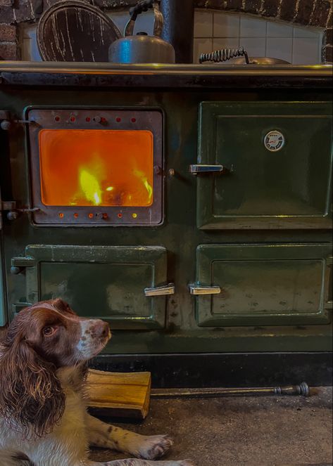 This is a picture of a brown and white springer spaniel puppy sitting in front of a large green aga which is lit and glowing orange Rural Cottage Aesthetic, Farming Aesthetic Country Living, Small Homestead Aesthetic, Rural Life Aesthetic, Off Grid Aesthetic, Countryside Life Aesthetic, Off Grid Living Aesthetic, Country Living Aesthetic, Country Home Aesthetic