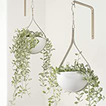 Check this out! Hanging Plant Holders, Conservatory Room, Metal Plant Hanger, Metal Plant Hangers, Hanging Wall Planters, Hanging Herbs, Plant Hooks, Kitchen Plants, Hanging Plant Holder