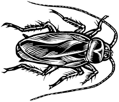 Roach Tattoo Design, Roach Drawing, Cockroach Drawing, Roach Tattoo, Cockroach Tattoo, Chest Ideas, Bug Tattoo, Insect Tattoo, Papa Roach