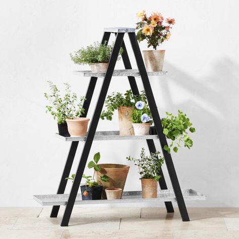 Decorative Ladder Ideas, Ladder With Plants, Garden Ladder Ideas, Galvanized Shelves, Ladder Planter, A Frame Ladder, Antique Ladder, Ladder Plant Stand, Ladder Ideas