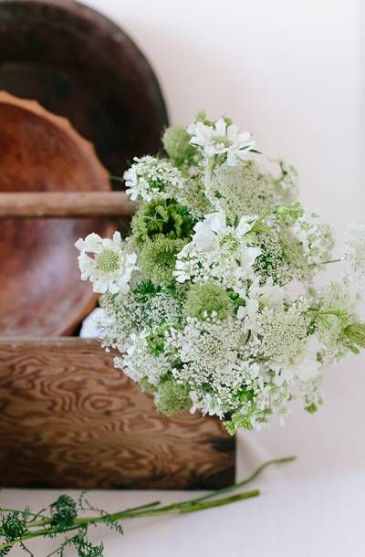 Queen Anne's Lace Inspiration By Annabella Charles via Magnolia Rouge Queen Annes Lace Bouquet, Lace Bouquet, Bouquet Champetre, Queen Anne's Lace Flowers, Lace Inspiration, Daucus Carota, Queen Anne's Lace, Beautiful Cottages, Queen Annes Lace