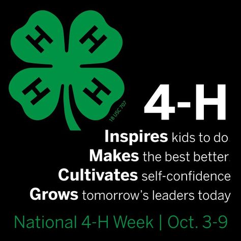 4h Leadership Posters, 4h Week Window Display, 4-h Sayings, 4h Poster Ideas Inspiration, 4-h Aesthetic, 4h Sayings, 4h Games, 4 H Poster Ideas, 4 H Project Ideas