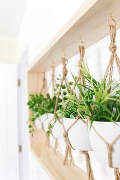 Dekorasi Bohemia, Koti Diy, Plant Wall Decor, Simple Wall Decor, Deco Nature, Hemma Diy, Decoration Plante, Plant Decor Indoor, House Plants Decor