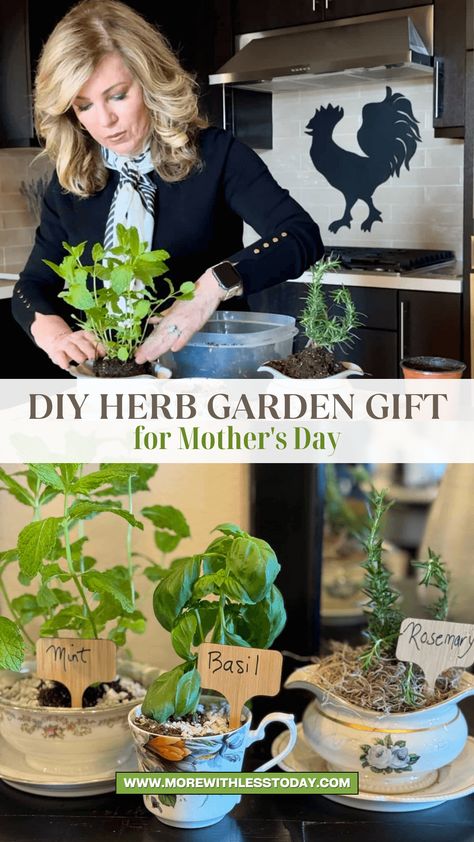 Surprise Mom with a thoughtful and inexpensive gift this Mother's Day!  This easy DIY project lets you create a charming herb garden using unique containers from a thrift store. With a touch of creativity and some recycled materials, you can craft a beautiful and functional gift  From vintage teacups to cut glass serving pieces, get ready to transform thrifted treasures into a delightful herb garden that keeps on giving! Thrifted Mothers Day Gift, Herb Garden Gift, Herb Gifts, Thrift Store Art, Diy Herb Garden, Bouquet Gift, Dollar Tree Diy Crafts, Garden Gift, Vintage Teacups