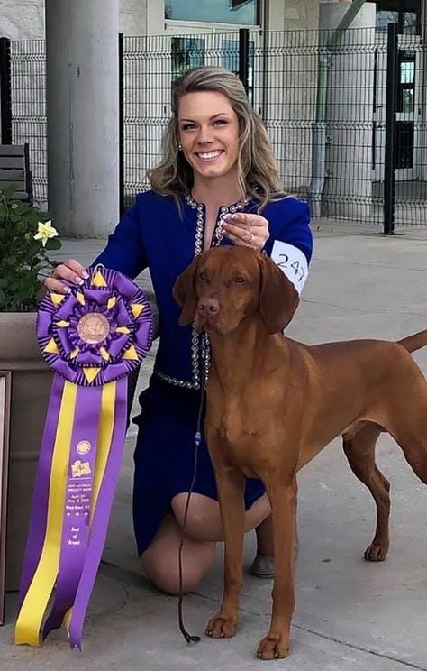 Dog Show Handler Outfits Women, Dog Show Suits Women, Dog Show Outfits, Dog Show Outfits Women, Best In Show Dog, Dog Show Aesthetic, Dog Shows, 222 Poster, Show Dogs