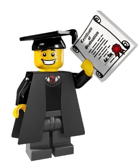 Lego Party Decorations, Lego Memes, Senior Graduation Gifts, Lego Universe, Individual Pictures, American Girl Doll House, Lego Mini, Lego Man, Lego Characters