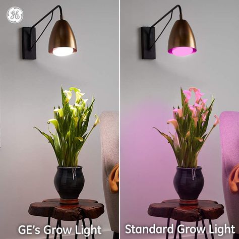 The Best LED Grow Lights for Indoor Plants and Herbs Indoor Plant Lights, Best Led Grow Lights, Light Spectrum, Flowers And Fruit, Growing Bulbs, Led Decorative Lights, Grow Light Bulbs, Grow Lamps, Grow Lights For Plants