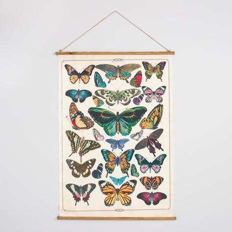 Scroll Wall Decor, Scroll Wall Art, Wall Scroll, Butterfly Species, Vintage Industrial Decor, Classic Farmhouse, Butterfly Canvas, Vibrant Style, Hanging Canvas