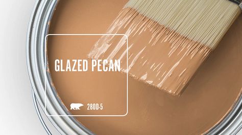 GLAZED PECAN 280D-5 | Behr Paint Colors Fall Wall Paint Colors, Amber Autumn Behr Paint, Behr Orange Paint Colors, Behr Terra Cotta Paint Colors, Light Terra Cotta Paint Color, Terracotta Accent Wall, Terracotta Paint Color, Terracotta Kitchen Walls, Dining Toom