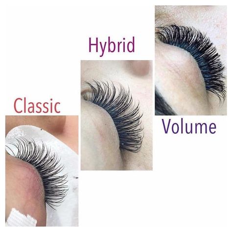 Best Eyelash Supplier_ Angela on Instagram: “volume ,hybrid and classic 👍👍 : #russianvolume #russianvolumelashes #volumelashes #lashmaker #lashartist #classiclashes #lashlove…” Long Lashes Mascara, Eyelash Extensions Salons, Lash Extentions, Eyelash Technician, Lash Extensions Styles, Eyelash Extensions Styles, Perfect Eyelashes, Volume Eyelash Extensions, Eyebrow Eyeshadow