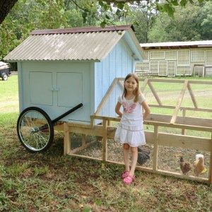 Reban Ayam, Mobile Chicken Coop, Portable Chicken Coop, Chicken Tractors, Tractor Idea, Chicken Tractor, Coop Design, Chicken Run, Chicken Coop Designs