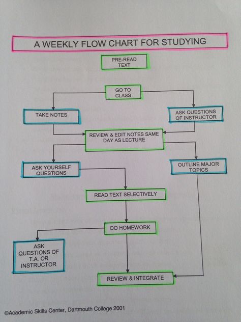 Weekly Flow Chart for Studying Flow Chart Ideas, Flow Chart Design, Flow Chart Template, Dartmouth College, Arts Ideas, Class 8, Study Material, Do Homework, Chart Design