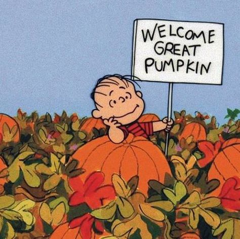 Because it's not fall without the great pumpkin. Welcome Great Pumpkin, It's The Great Pumpkin Charlie Brown, The Great Pumpkin Charlie Brown, Great Pumpkin Charlie Brown, It's The Great Pumpkin, The Great Pumpkin, Great Pumpkin, Charlie Brown, Pumpkins