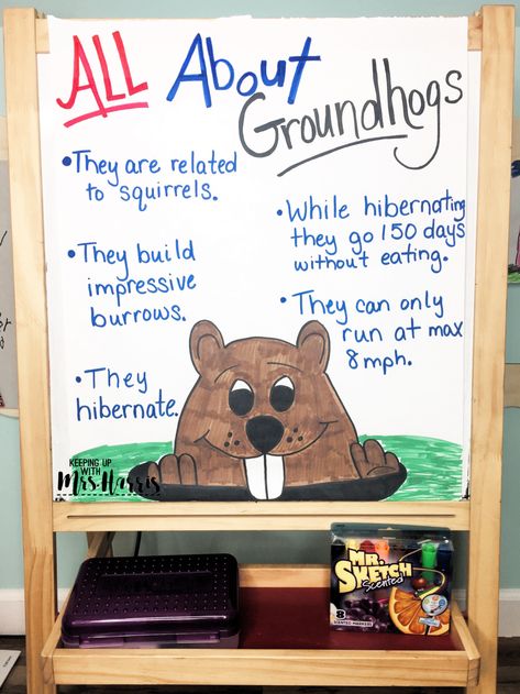 Ground Hog Day Crafts, Kindergarten Groundhog Day, Groundhog Activities, Preschool Groundhog, February Lessons, Groundhog Day Activities, February Ideas, February Crafts, Background Knowledge