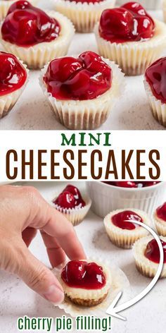 These Mini Cherry Cheesecakes show up at all holidays in our family. Just like a full-size cheesecake, these bite-sized treats are packed with creamy flavor! Add your favorite pie filling topper! Individual Cherry Cheesecake Cups, Cherry Desert Ideas, Mini Muffin Cheesecake Bites, Cheesecake Bites Recipes, Cherry Cheesecake Bites, Miniature Cheesecakes, Original Cheesecake, Holiday Deserts, Mini Cherry Cheesecakes