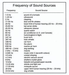 A chart showing the frequency in hertz of various sound sources. Hertz Frequency Chart, Frequencies Chart, Frequency Chart, Raindrop Technique, Amp Settings, Sound Frequency, Hearing Damage, Music Mixing, Sensory Motor