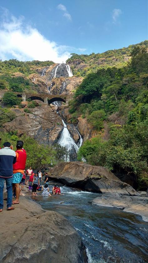 Dudhsagar waterfalls India (Goa) Dudhsagar Waterfalls Photography, Goa Activities, Goa Waterfall, Goa Snaps, Goa Places, Goa Pics, Dudhsagar Waterfalls, Travel Dairies, Mountain Photo Ideas