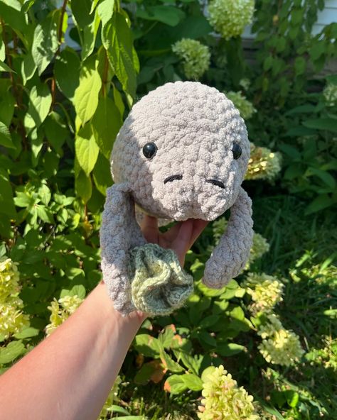 Marina the Manatee pattern by @mamacrochetti I made this a few months ago and I still cannot get over how cute it is 🥹 #crochet #manatee #hobbylobby #honeybeeyarn Manatee Crochet Pattern Free, Manatee Crochet Pattern, Crochet Manatee, Hobby Lobby, Get Over It, Free Crochet Pattern, Crochet Pattern, Free Pattern, Crochet Patterns