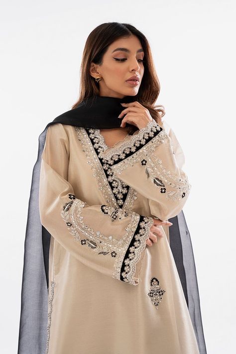 Pakistani Dresses Lace Work, Classy Salwar Suit, Black Suit Ideas Women Indian, Indian Suits Design For Women, How To Style Pakistani Suit, New Suit Designs Indian Style, Pakistani Dresses Suits, Designer Suit Ideas, Wedding Suit Women Pakistani