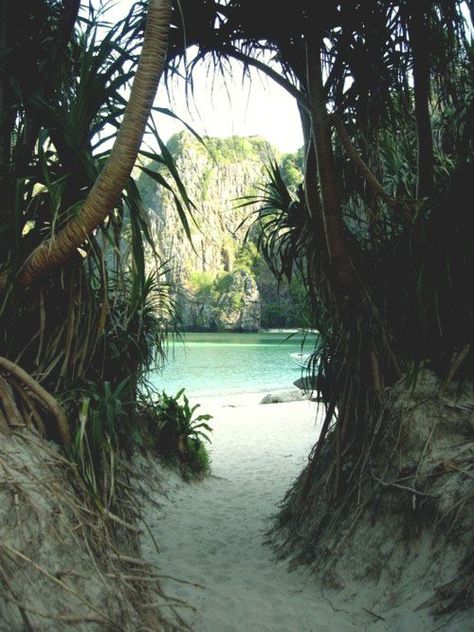 : Thailand Beach, Maya Bay, Thailand Honeymoon, Bohol, Palau, Alam Semula Jadi, Pretty Places, Amazing Nature, Vacation Spots