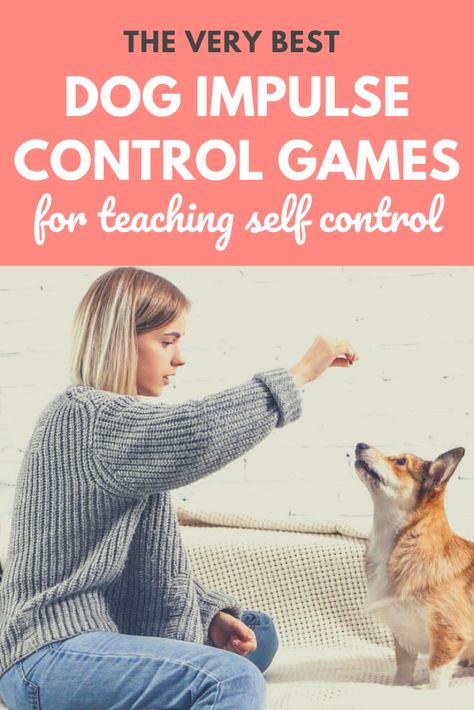 Impulse Control For Dogs, Dog Training Games, Puppy Games Training, Games To Play With Puppy, Games To Play With Your Dog, Puppy Games, Service Dog Training, Impulse Control, Easiest Dogs To Train