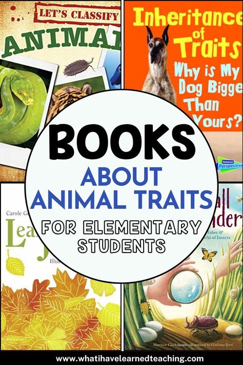 Discover books that teach elementary students about animal traits and inherited characteristics. These reads align with third-grade NGSS standards, focusing on how animals inherit traits from parents. With vivid illustrations and accessible language, the books cover classification, variations, and fascinating animal facts. Perfect for classroom read-alouds and science units, these resources help young learners grasp complex concepts through enjoyable stories and visual aids. Inherited Traits, Animal Traits, January Classroom, Animal Life Cycles, Science Stations, Animal Classification, Plant Breeding, Third Grade Science, Books Cover