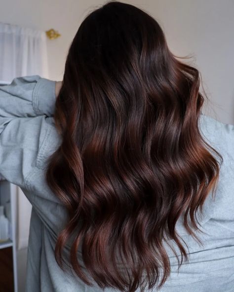 Dark Cherry Brown Hair, Beautiful Brown Hair Color, Trendy Brown Hair, Cherry Brown Hair, Brown Auburn Hair, Pelo Chocolate, Cherry Cola Hair, Cherry Hair Colors, Brown Hair Color Shades