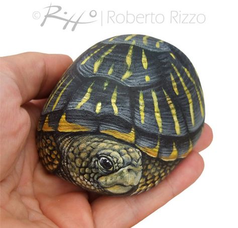 Turtle Painted Rocks, Painted Turtle, Turtle Rock, Painted Rock Animals, Art Pierre, Stone Art Painting, Painted Rocks Craft, Painted Rocks Diy, Turtle Painting