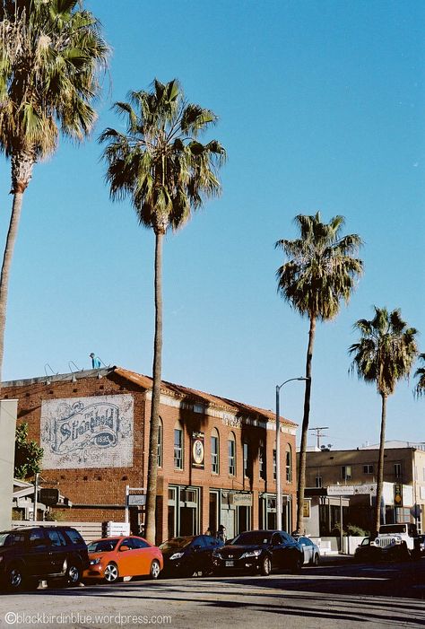 Abbot Kinney Blvd, California Restaurants, Venice Beach California, Abbot Kinney, Cali Life, Vintage Clothing Stores, Clothing Stores, Venice Beach, Digital Nomad