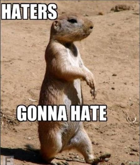 Too My Critics. What He Said! Haters Meme, Haters Gonna Hate, I Hate People, Silly Animals, Quote Posters, Funny Laugh, Animals Friends, Funny Photos, Picture Quotes