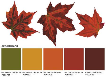 Gothic Color Palette, Fall Color Pallet, Room Color Schemes, Pallet Painting, Fall Color Palette, Color Palate, Fall Wedding Colors, Color Crush, Fall Is Here